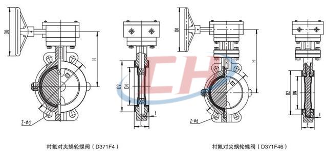 防爆電動(dòng)襯氟對夾蝶閥結(jié)構(gòu)圖